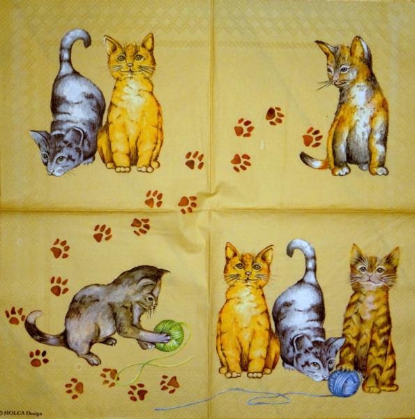 147 Katzen - 3-lagig - MOLCA